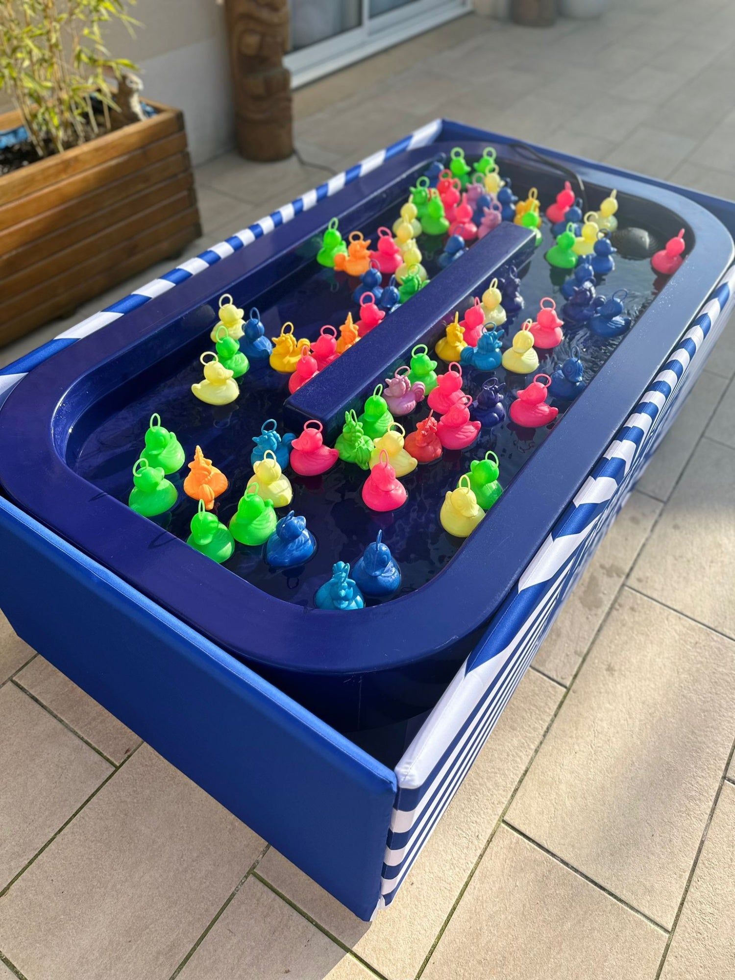 Pêche aux canards